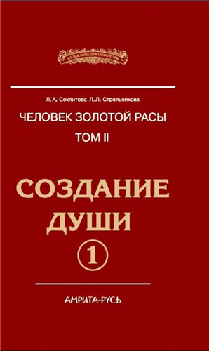 Аудиокнига Секлитова Лариса, Стрельникова Людмила - Создание души. Книга 1