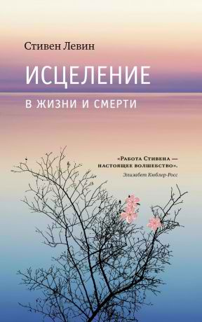 Аудиокнига Левин Стивен - Исцеление в жизни и смерти