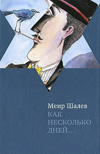 Аудиокнига Шалев Меир - Как несколько дней...