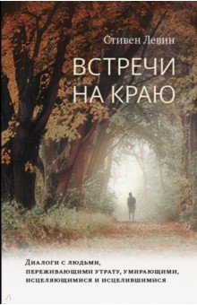 Аудиокнига Левин Стивен - Встречи на краю