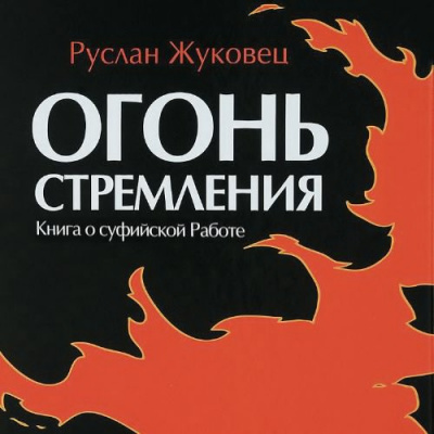 Аудиокнига Жуковец Руслан - Огонь стремления. Книга о суфийской Работе