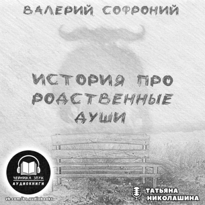 Аудиокнига Софроний Валерий - История про родственные души