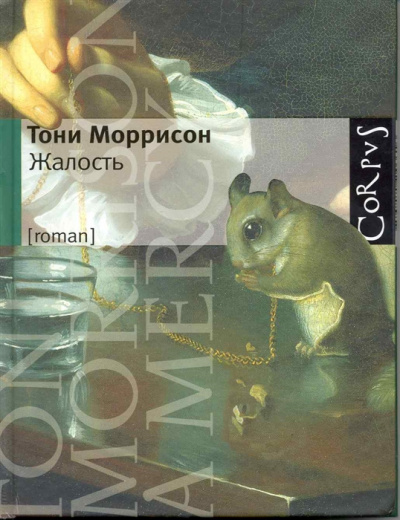 Аудиокнига Моррисон Тони - Жалость