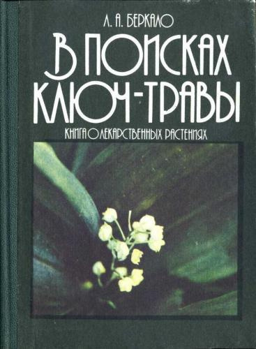 аудиокнига Беркало Людмила - В поисках ключ-травы