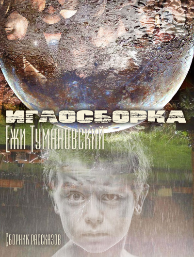 Аудиокнига Тумановский Ежи - Иглосборка