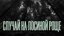 аудиокнига Новгородов Олег - Случай на Лосиной Роще