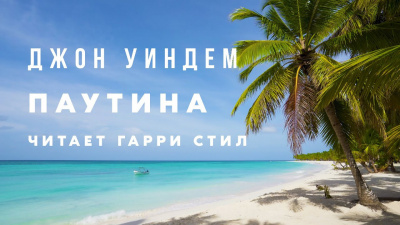 Аудиокнига Уиндэм Джон - Паутина